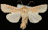  ( - UBC-2006-1062)  @14 [ ] Unspecified (default): All Rights Reserved  Unspecified Unspecified