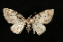  ( - UBC-2006-1079)  @13 [ ] Unspecified (default): All Rights Reserved  Unspecified Unspecified
