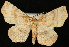  ( - UBC-2006-1168)  @13 [ ] Unspecified (default): All Rights Reserved  Unspecified Unspecified