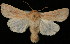  ( - UBC-2006-1530)  @14 [ ] Unspecified (default): All Rights Reserved  Unspecified Unspecified