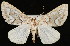  ( - UBC-2006-1546)  @14 [ ] Unspecified (default): All Rights Reserved  Unspecified Unspecified