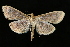  ( - UBC-2006-1937)  @14 [ ] Unspecified (default): All Rights Reserved  Unspecified Unspecified