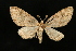  ( - UBC-2006-1943)  @13 [ ] Unspecified (default): All Rights Reserved  Unspecified Unspecified