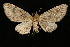  ( - UBC-2006-1944)  @13 [ ] Unspecified (default): All Rights Reserved  Unspecified Unspecified