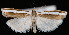  ( - UBC-2006-1945)  @14 [ ] Unspecified (default): All Rights Reserved  Unspecified Unspecified