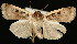  ( - UBC-2006-1991)  @13 [ ] Unspecified (default): All Rights Reserved  Unspecified Unspecified
