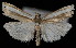  ( - UBC-2006-2011)  @13 [ ] Unspecified (default): All Rights Reserved  Unspecified Unspecified