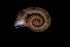  ( - 140887_02)  @11 [ ] Creative Commons BY NC SA (2025) University of Bergen Natural History Collections