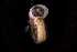  ( - 140887_02)  @11 [ ] Creative Commons BY NC SA (2025) University of Bergen Natural History Collections