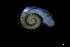  ( - 140944_01)  @11 [ ] Creative Commons BY NC SA (2025) University of Bergen Natural History Collections