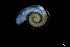  ( - 140944_01)  @11 [ ] Creative Commons BY NC SA (2025) University of Bergen Natural History Collections