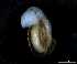  ( - 140944_01)  @11 [ ] Creative Commons BY NC SA (2025) University of Bergen Natural History Collections