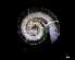  ( - 140944_02)  @11 [ ] Creative Commons BY NC SA (2025) University of Bergen Natural History Collections
