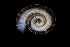  ( - 140944_02)  @11 [ ] Creative Commons BY NC SA (2025) University of Bergen Natural History Collections