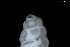  ( - 148964)  @11 [ ] Creative Commons BY NC SA (2025) University of Bergen Natural History Collections
