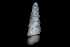  ( - 148964)  @11 [ ] Creative Commons BY NC SA (2025) University of Bergen Natural History Collections