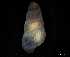  ( - 148982)  @11 [ ] Creative Commons BY NC SA (2025) University of Bergen Natural History Collections