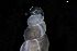  ( - 155164)  @11 [ ] Creative Commons BY NC SA (2024) University of Bergen Natural History Collections