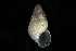  ( - 160797_04)  @11 [ ] Creative Commons BY NC SA (2025) University of Bergen Natural History Collections
