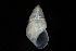  ( - 160797_05)  @11 [ ] Creative Commons BY NC SA (2025) University of Bergen Natural History Collections