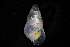  ( - 160797_06)  @11 [ ] Creative Commons BY NC SA (2025) University of Bergen Natural History Collections