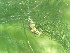  ( - 160818)  @11 [ ] Creative Commons BY NC SA (2025) University of Bergen Natural History Collections