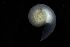  ( - 161951)  @11 [ ] Creative Commons BY NC SA (2025) University of Bergen Natural History Collections