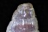  ( - 161976_03)  @11 [ ] Creative Commons BY NC SA (2024) University of Bergen Natural History Collections
