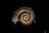  ( - 162015)  @11 [ ] Creative Commons BY NC SA (2025) University of Bergen Natural History Collections