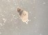  ( - 162017_01)  @11 [ ] Creative Commons BY NC SA (2025) University of Bergen Natural History Collections