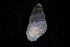  ( - 162017_01)  @11 [ ] Creative Commons BY NC SA (2025) University of Bergen Natural History Collections