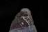  ( - 162017_01)  @11 [ ] Creative Commons BY NC SA (2025) University of Bergen Natural History Collections