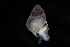  ( - 162017_02)  @11 [ ] Creative Commons BY NC SA (2025) University of Bergen Natural History Collections
