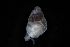  ( - 162017_02)  @11 [ ] Creative Commons BY NC SA (2025) University of Bergen Natural History Collections
