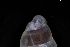  ( - 162017_02)  @11 [ ] Creative Commons BY NC SA (2025) University of Bergen Natural History Collections