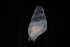  ( - 162017_03)  @11 [ ] Creative Commons BY NC SA (2025) University of Bergen Natural History Collections
