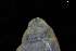  ( - ZMBN_162035)  @11 [ ] Creative Commons BY NC SA (2025) University of Bergen Natural History Collections
