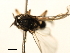  ( - SIM-CANADA-507)  @12 [ ] CreativeCommons - Attribution (2009) Unspecified Centre for Biodiversity Genomics