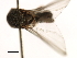  ( - SIM-CANADA-542)  @12 [ ] CreativeCommons - Attribution (2009) Unspecified Centre for Biodiversity Genomics
