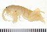  ( - LIAMP009)  @14 [ ] CreativeCommons - Attribution (2010) Unspecified Centre for Biodiversity Genomics