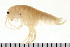  ( - LIAMP010)  @14 [ ] CreativeCommons - Attribution (2010) Unspecified Centre for Biodiversity Genomics