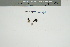  ( - CCDB-25871-D05)  @11 [ ] CreativeCommons - Attribution Non-Commercial Share-Alike (2022) Canadian Museum of Nature Canadian Museum of Nature