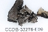  ( - CCDB-33276-E09)  @11 [ ] CreativeCommons - Attribution (2019) Centre for Biodiversity Genomics Centre for Biodiversity Genomics