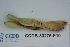  ( - CCDB-33276-F10)  @11 [ ] CreativeCommons - Attribution (2019) Centre for Biodiversity Genomics Centre for Biodiversity Genomics
