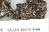  ( - CCDB-33276-H09)  @11 [ ] CreativeCommons - Attribution (2019) Centre for Biodiversity Genomics Centre for Biodiversity Genomics