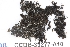  ( - CCDB-33277-A10)  @11 [ ] CreativeCommons - Attribution (2019) Centre for Biodiversity Genomics Centre for Biodiversity Genomics