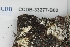  ( - CCDB-33277-B02)  @11 [ ] CreativeCommons - Attribution (2019) Centre for Biodiversity Genomics Centre for Biodiversity Genomics