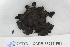  ( - CCDB-33277-F01)  @11 [ ] CreativeCommons - Attribution (2019) Centre for Biodiversity Genomics Centre for Biodiversity Genomics