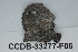  ( - CCDB-33277-F05)  @11 [ ] CreativeCommons - Attribution (2019) Centre for Biodiversity Genomics Centre for Biodiversity Genomics
