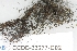  ( - CCDB-33277-G02)  @11 [ ] CreativeCommons - Attribution (2019) Centre for Biodiversity Genomics Centre for Biodiversity Genomics